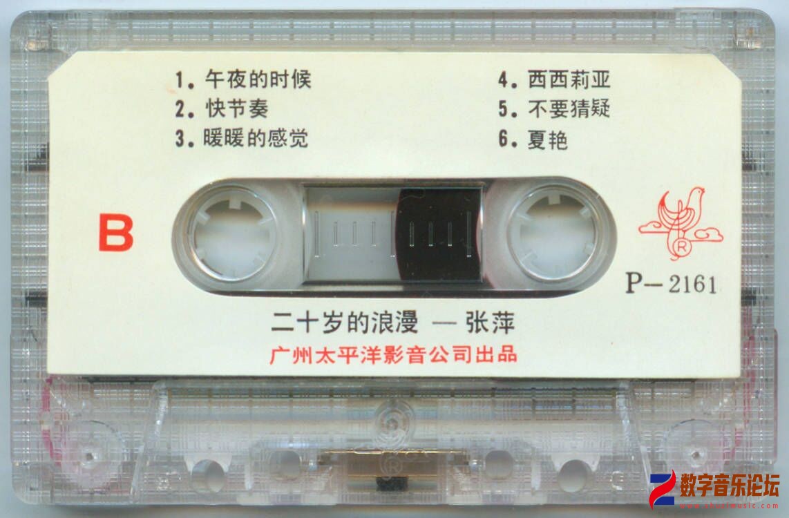 张萍 20岁的浪漫-4.jpg