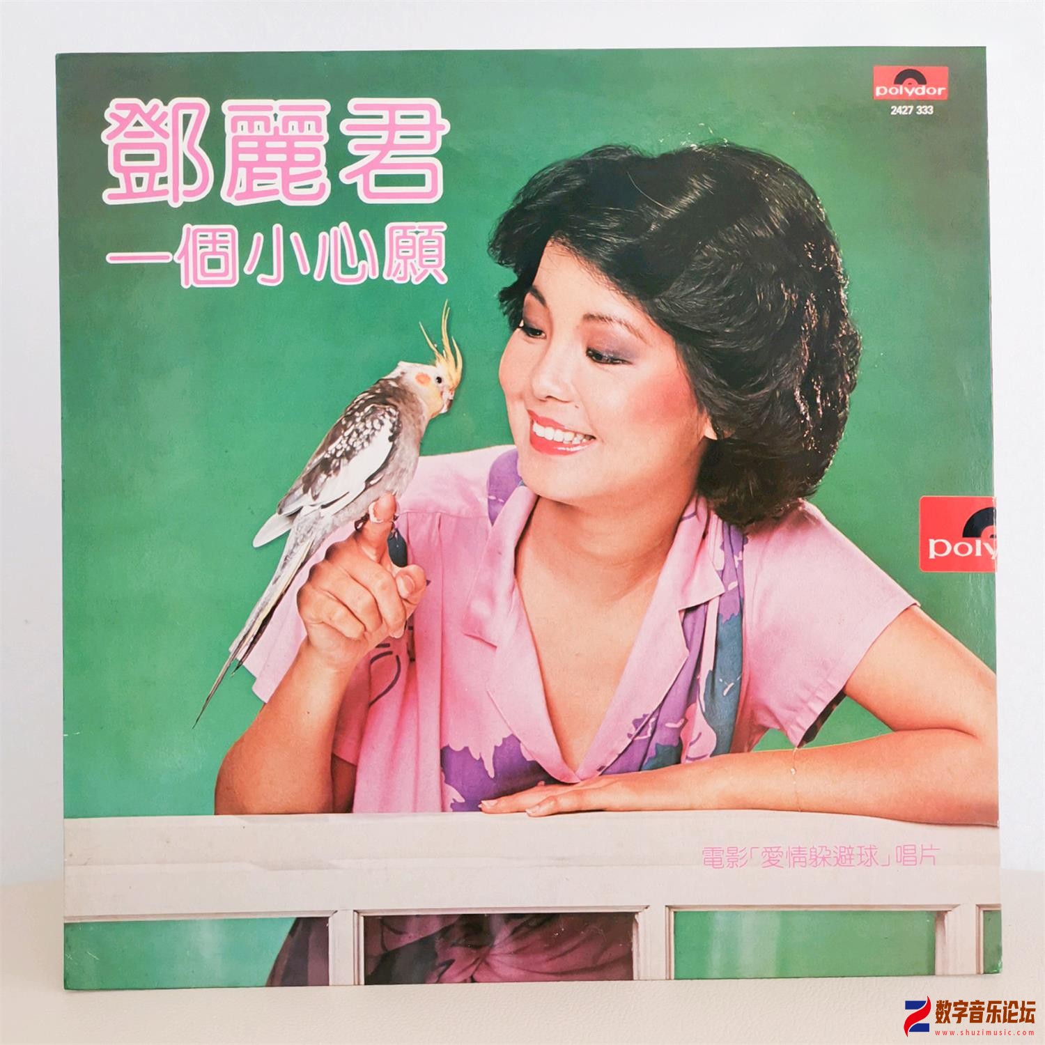 COVER.jpg