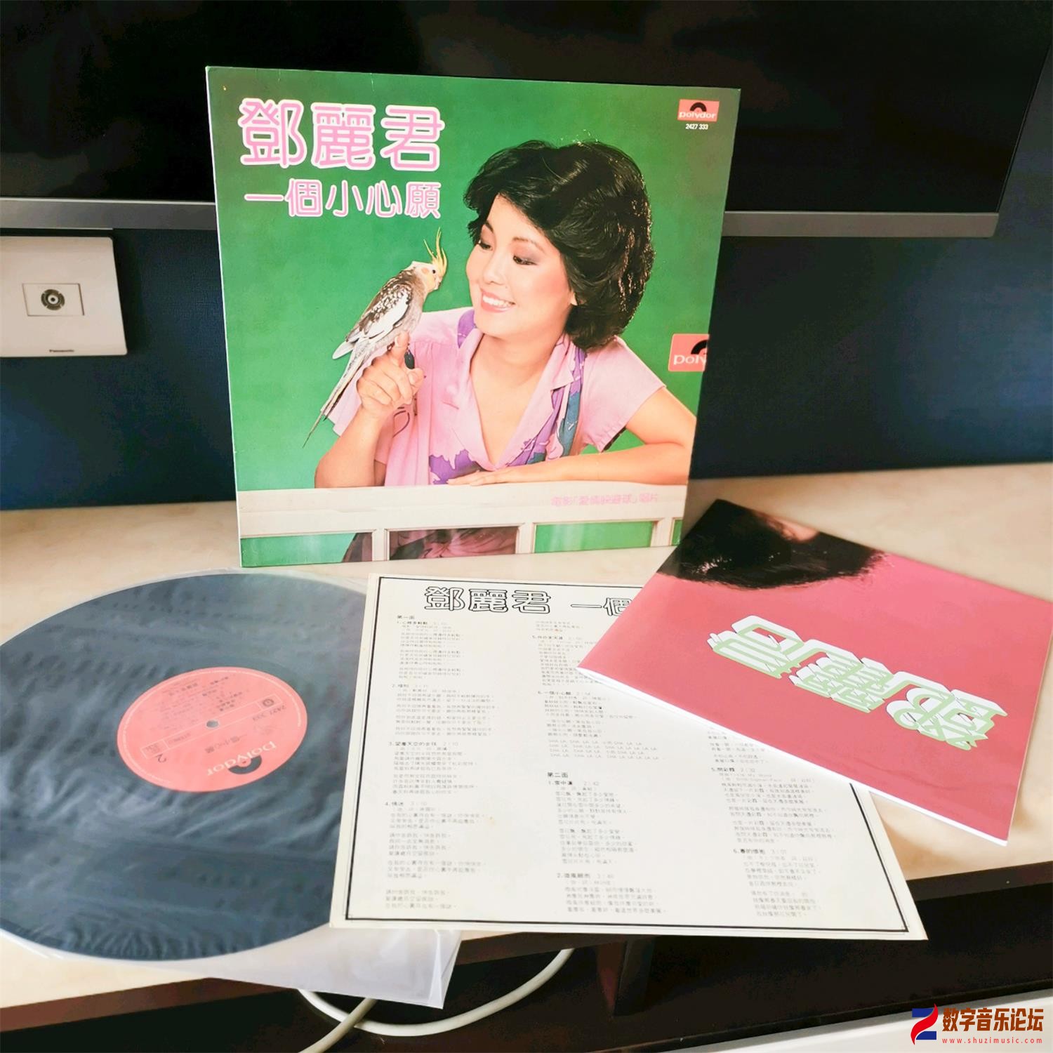 COVER-.jpg
