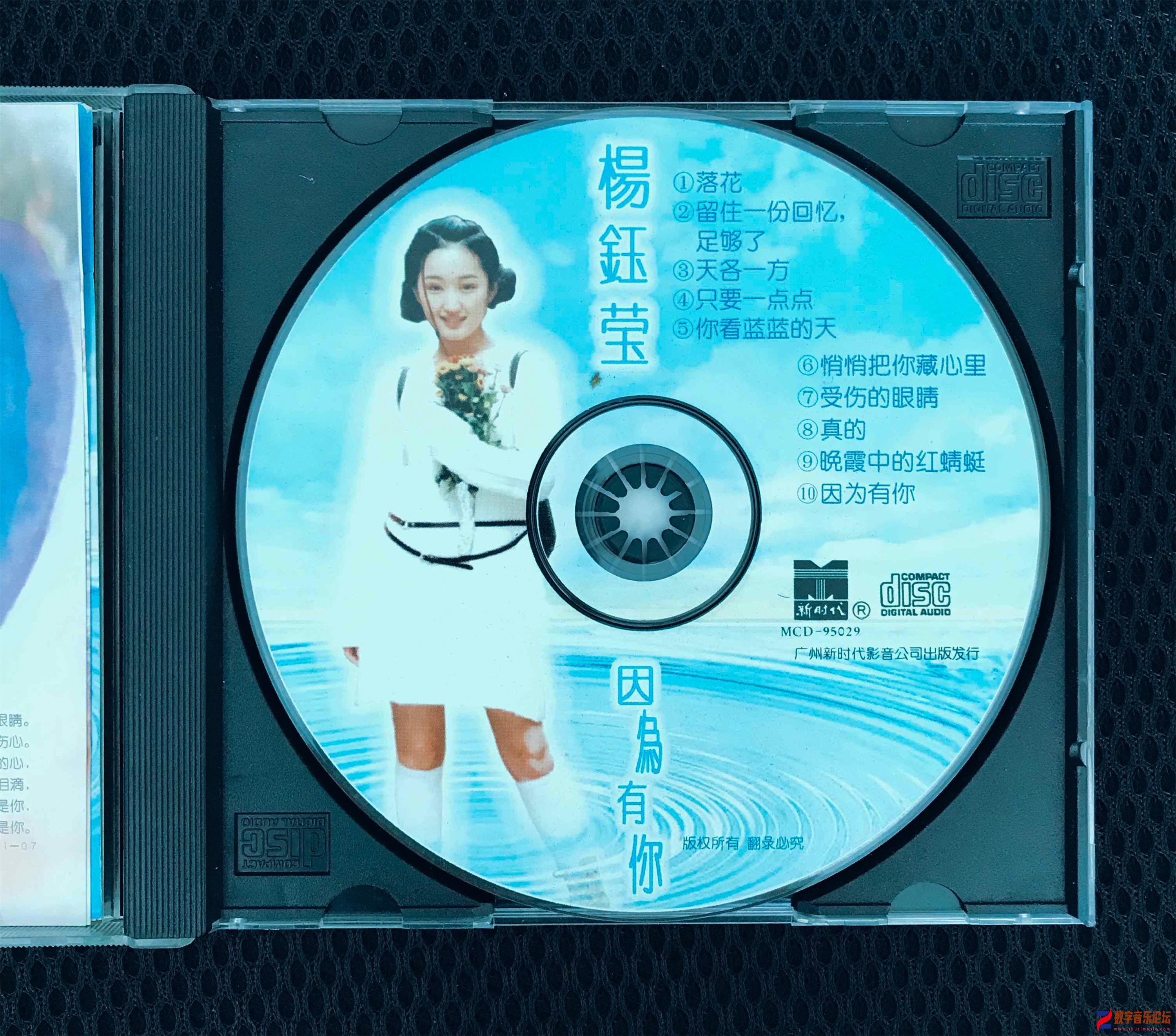 CD.jpg