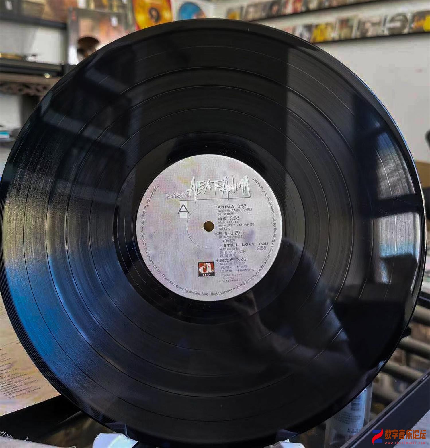 CD-.jpg