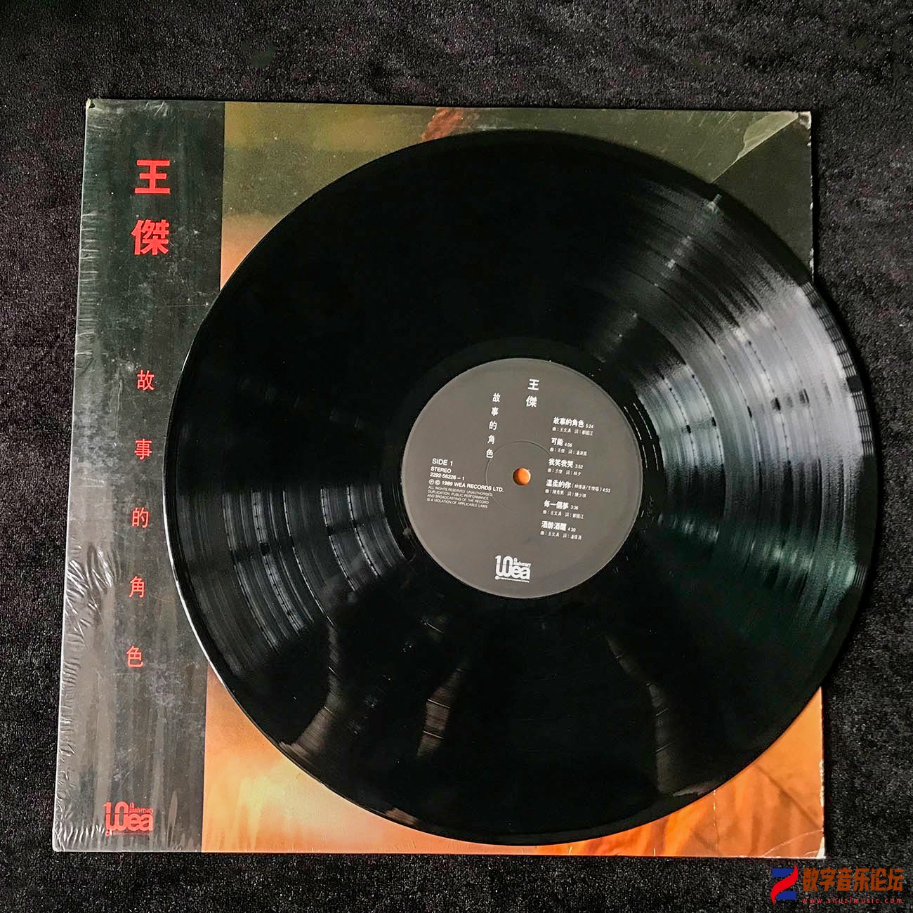 CD-.jpg