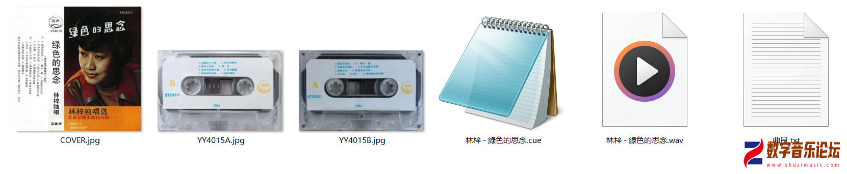 林梓～1984～綠色的思念.png