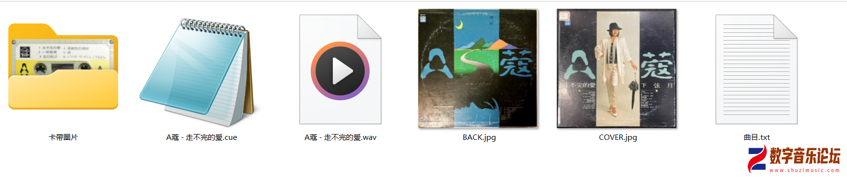 FSR-013.png