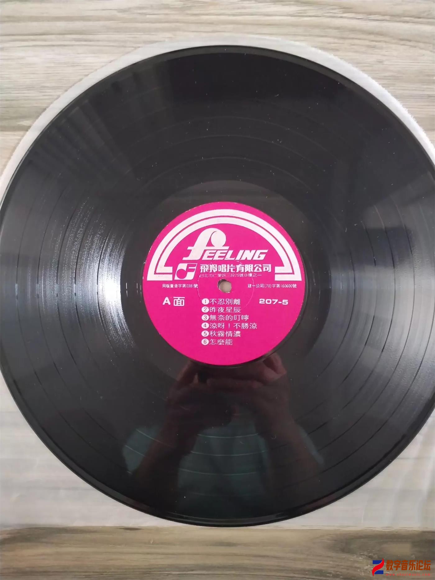CD-.jpg