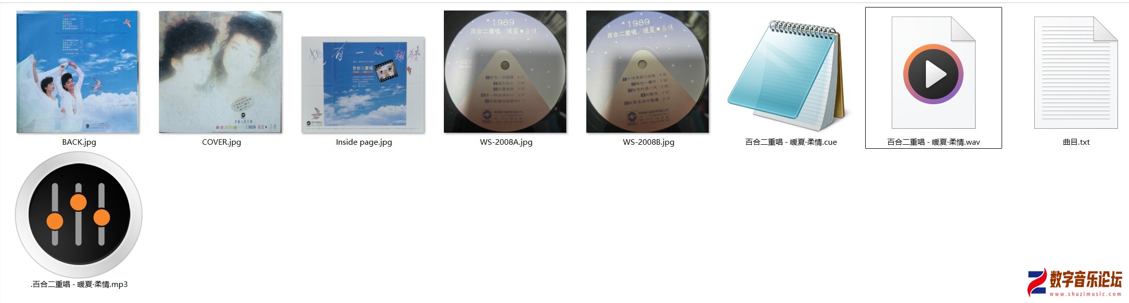 WS-2008.jpg