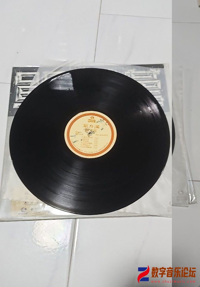 CD-.jpg