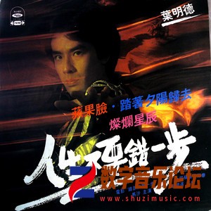 人生不要错一步（黑胶版）.jpg