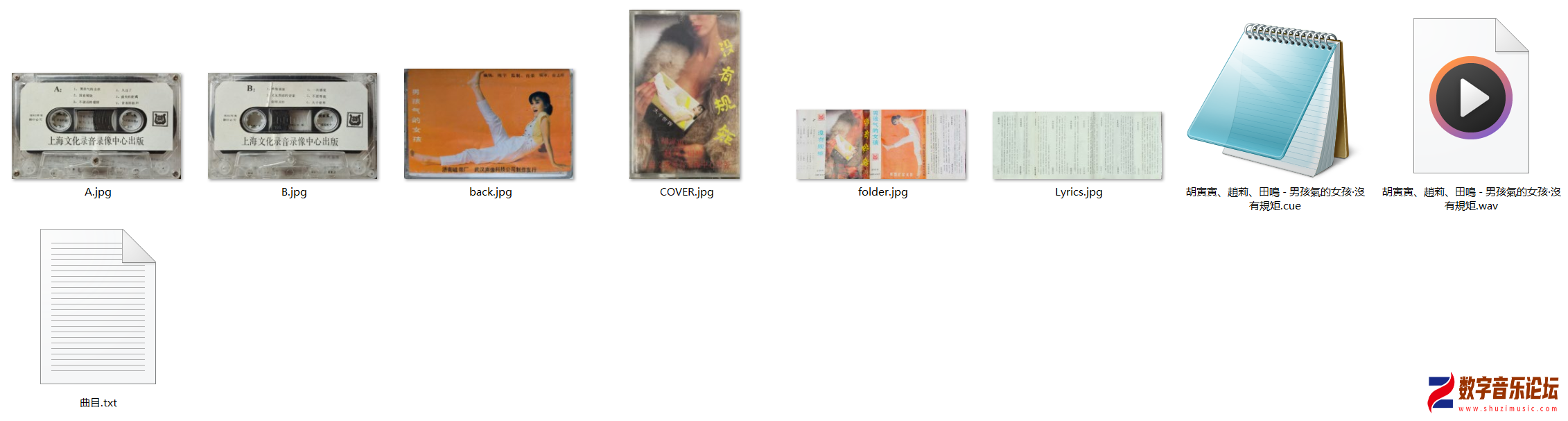 SH5007.png